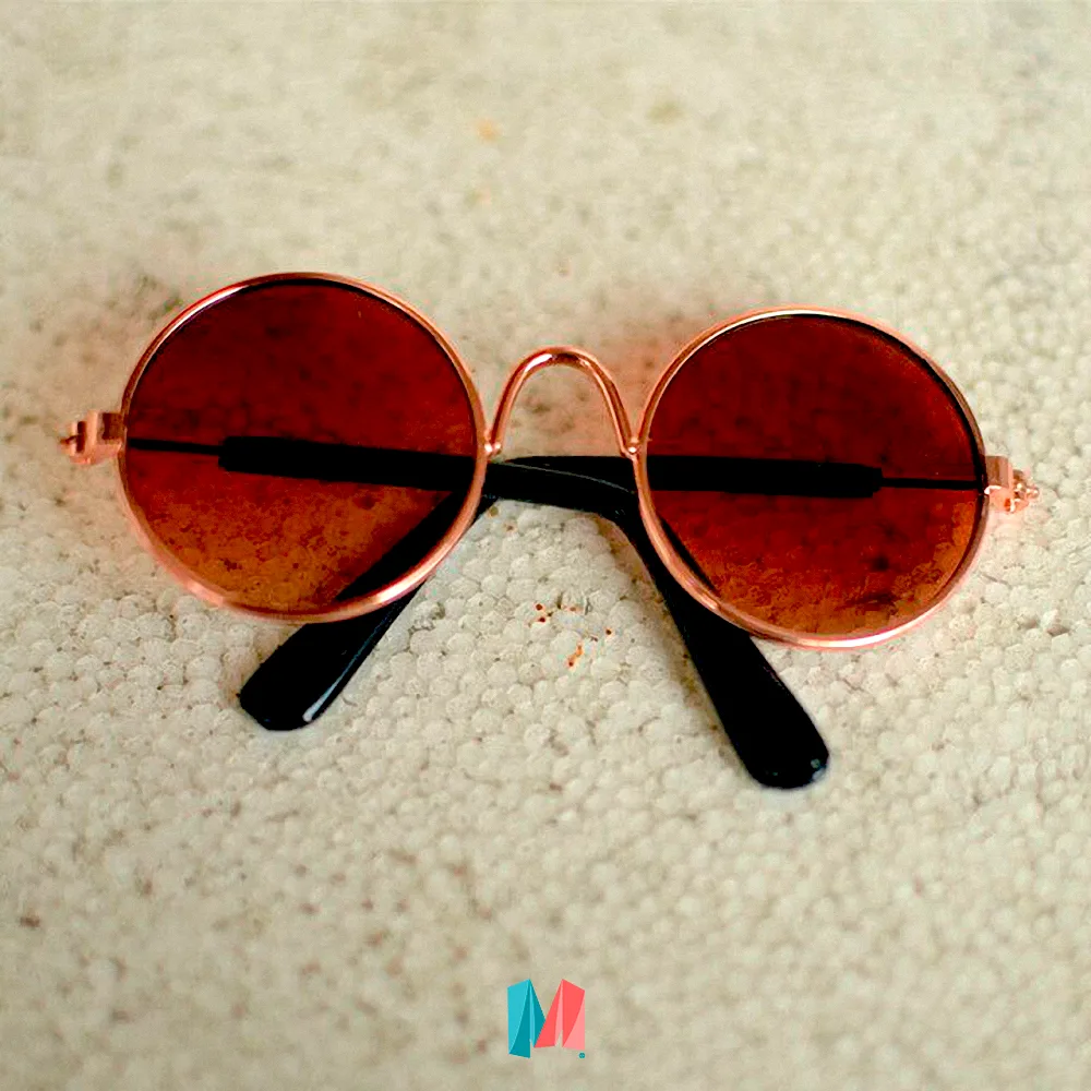 gafas para gato